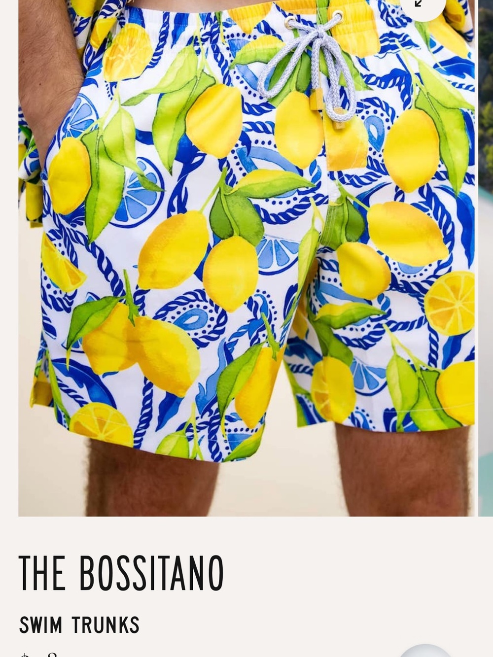 NWT Kenny Flowers The Bossitano Men’s Lemon Print Swim Trunks L